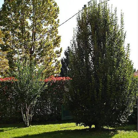 Apartment La Taverna Di Giano Vicenza